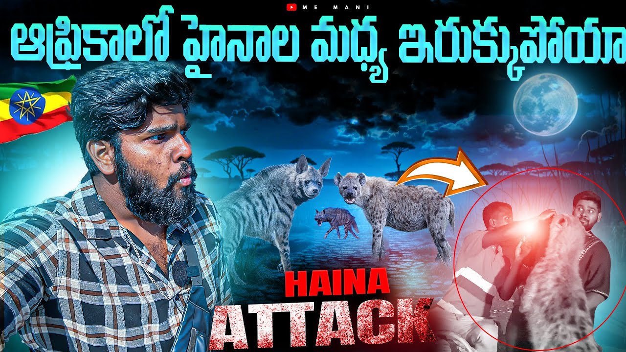 Feeding Hyenas from My Mouth in Ethiopia 🐺 | Africa Ep-14 | Me Mani