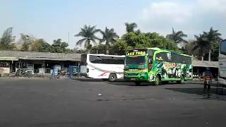 Telolet Restu Panda 'New lake toba 55' At Arjosari Bus Station