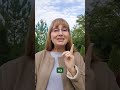 Хочешь узнать свой тип лидерства?Пиши слово СПРИНТ — и получи бесплатную диагностику 🔥