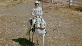 Glen Campbell Rhinestone Cowboy
