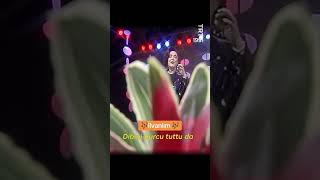 🎶Belkız Akkale🎶