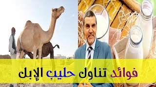 فوائد تناول حليب الابل II دكتور محمد الفايد II