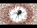 1,000 Hormigas vs. Viuda Negra