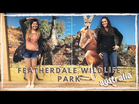 Video: Mengunjungi Taman Margasatwa Featherdale