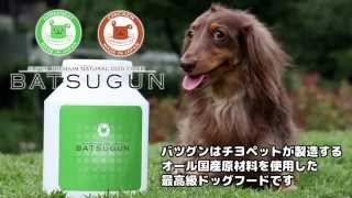 最高級国産ドッグフード　BATSUGUN（バツグン）