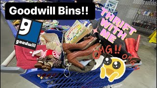 Biggest Goodwill Haul Of The YEAR! We Hit the Jackpot! Come to the Goodwill Bins with ME!