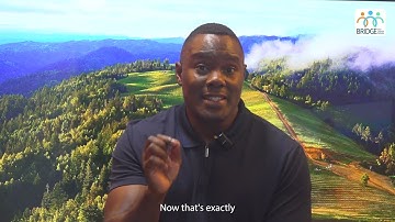 The New Language No One Taught Them