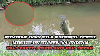 Edannn Meskipun 3 Jarian Ikan Nila Nya Banyak Bgt Di Spot Ini Dapet 10 Ekor Bisa Satu Kali Mecak
