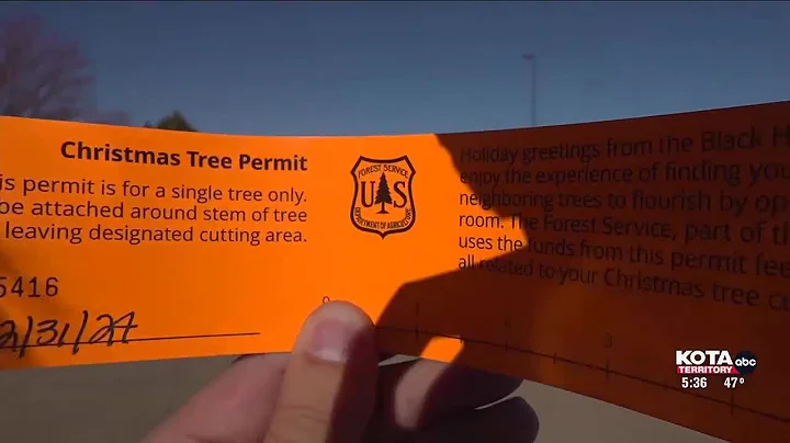 Permits now available for cutting Christmas trees in the Black Hills National Forest
