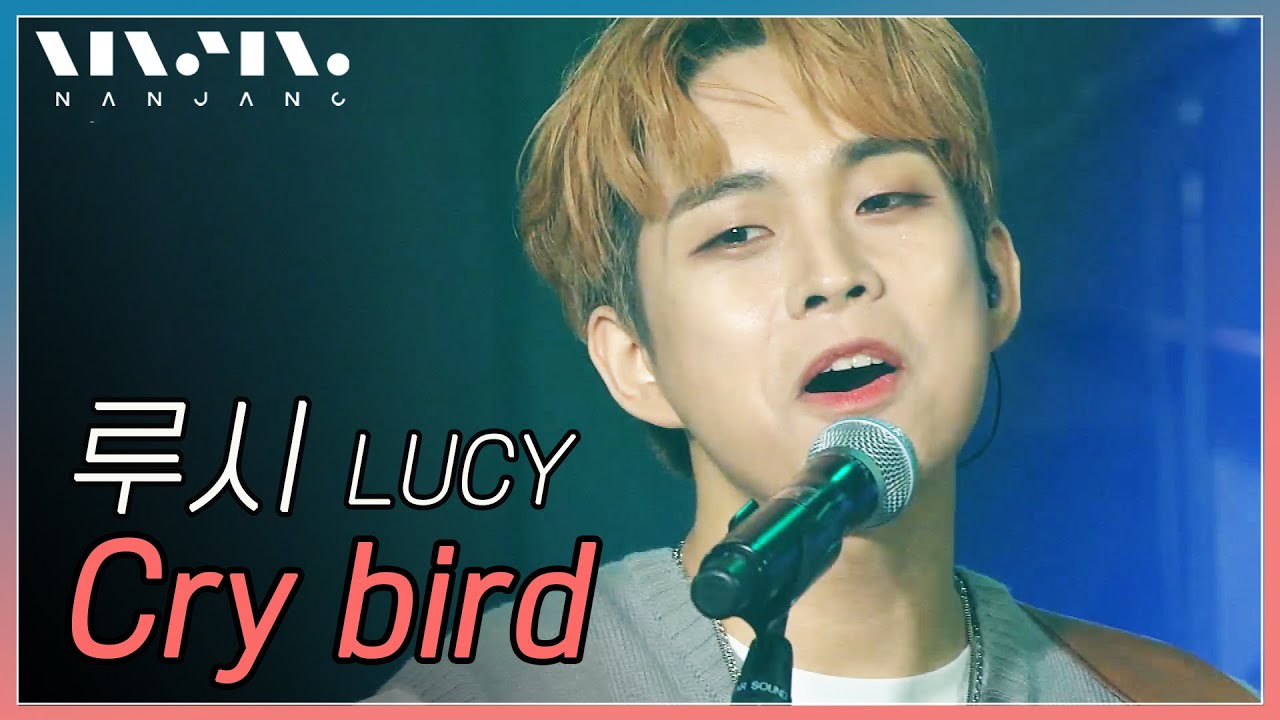 루시 LUCY ; Cry bird _Realmusic난장