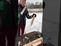 Вот это да! Нож рубит все!