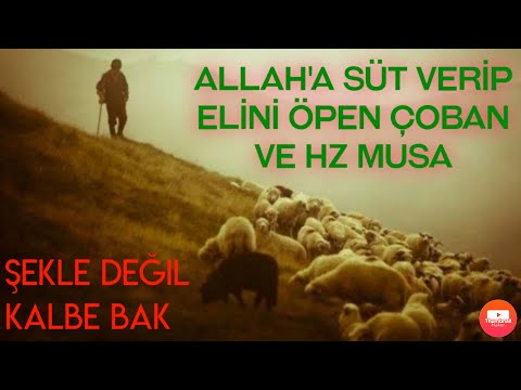 HZ MUSA VE ÇOBAN | İBRETLİK HİKAYELER | DİNİ HİKAYELER ÖYKÜLER