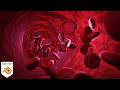 Blood Cells Medical Visualization Animation with Geometry Nodes (Blender Tutorial)