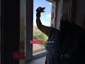 Ремонт. Часть 2