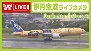 MBS NEWSの配信のサムネイル画像