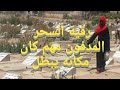 رقية لإبطال السحر المدفون في المقابر أو غيره وحرق خادم السحر رغم جهل مكان دفنه فعالةتدهب كل الأعراض 