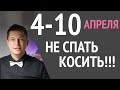 Что будет 4 - 10 апреля -  Большая Проверка. Гороскоп Павел Чудинов