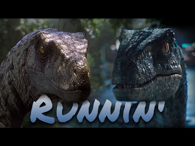 Velociraptors || Runnin' class=