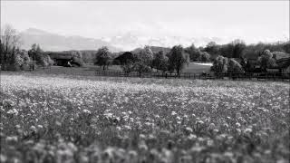 Dontcry & Nokiaa - Feels Like Home (Original Mix) ~ 20 Minutes loop