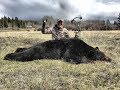 Spot and Stalk- Giant Black Bear with John Dudley