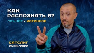 Ложное я или Истинное Я - Как распознать? Андрей Тирса - Сатсанг 25/09/2022