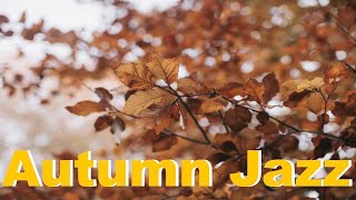 Autumn Jazz with Autumn Jazz Playlist: 1 Hour of Autumn Jazz Music and Autumn Jazz Songs