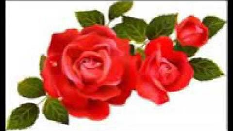 * اية يا أيها الإنسان ما غرك بربك الكريم * سورة الانفطار قراءه الشيخ ياسر الشرقاوى 2017