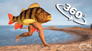 Skibidi The Fish 360° VR