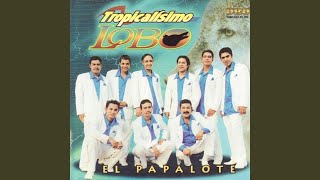 Video thumbnail of "Tropicalísimo Lobo - Vamos A Bailar"