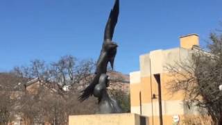 University of north texas campus.