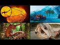 Most Amazing & Incredible Recent Discoveries | ORIGINS EXPLAINED COMPILATION 1