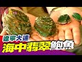 遼寧大連 海中翡翠 鮑魚故鄉《中國大體驗》國際焦點系列1 遼寧 百年大連