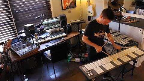 Chase Jackson, Vibraphone - Malletstation & Vibes Cadenza