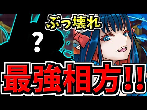 【環境最強の相方】まったく新しい強相方！ぶっ壊れジントニック×〇〇編成！代用・立ち回り解説！【パズドラ】