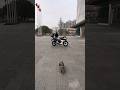 Cat reaches motorcycle motorcycle cats pets helmet
