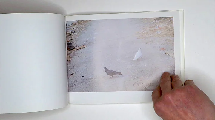 Rinko Kawauchi - Light and Shadow