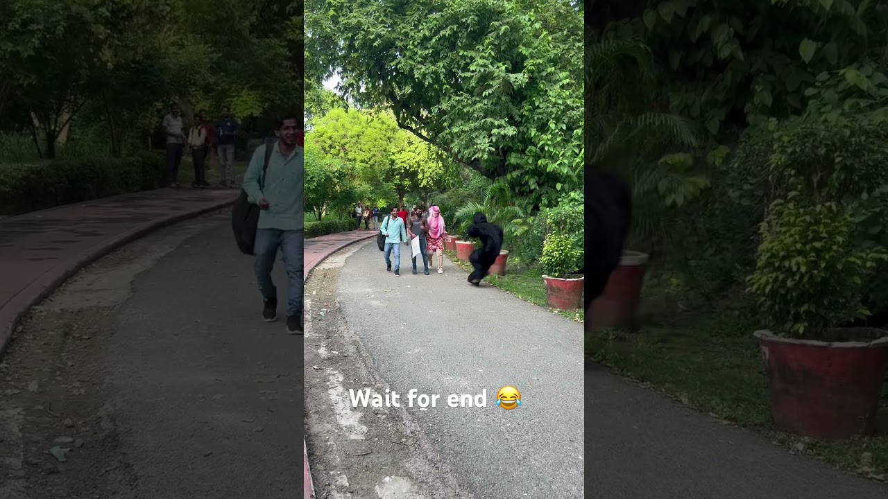 PRAYAGRAJ CHEPANZEE PRANK 😂😂 part 🙈🙈2 