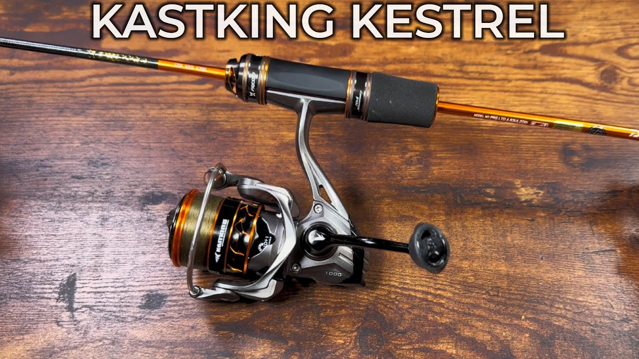 KASTKING Kestrel – Full Summary