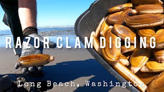 LARGE Razor Clams May 2023, Washington State