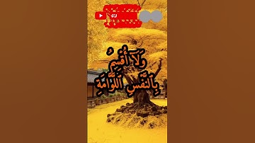 من الآية 1 إلى الآية 4 من سورة القيامة