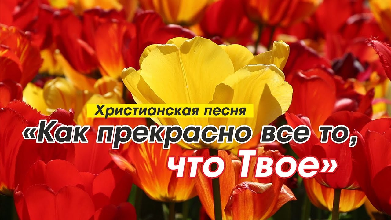 Посажу цветы тюльпаны песня