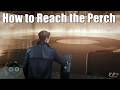007 First Light | How to Reach the Perch