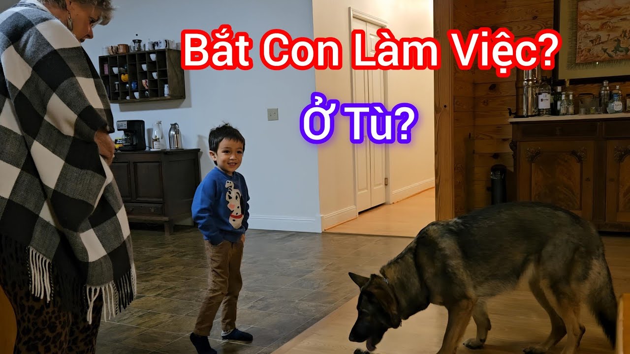 Bất Ngờ Với Con Đường 2km Vào Nhà Bạn Ở Mỹ - Tâm Sự Chuyện Dạy Con Ở Mỹ