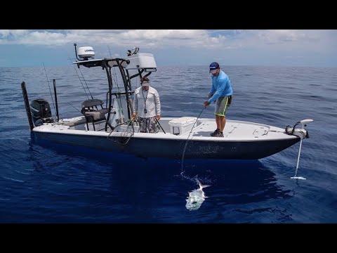 PERMIT ON THE THUNDERBOLT WRECK - Saltwater Experience