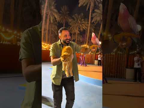 في كل زاوية في الرياض فيه مكان بيخبي حكاية بس اللي في حديقة السويدي مختلفة تمام ا