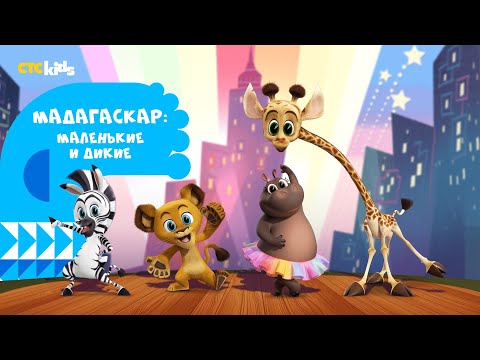 Мадагаскар: маленькие и дикие на CTC Kids