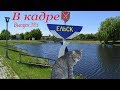 В кадре: Ельск. Выпуск №1