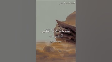 سورة المطففين من آيه 23 إلى آيه 29 بصوت الشيخ ياسر الدوسري❤❤