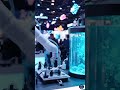 GSTCE Singapore 14th May 2026 | How Smart Contracts & Green AI Are Changing the World