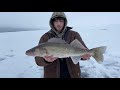 TOP 3 BIGGEST RED LAKE WALLEYES! - (compilation)